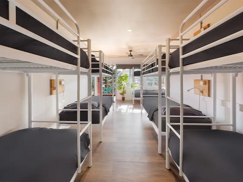 10 Bed Mixed Dorm Standard